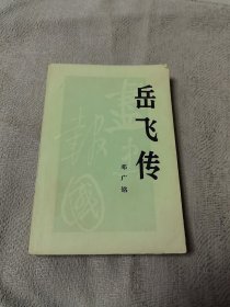 岳飞传