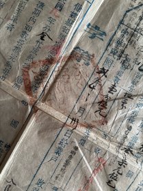 民国早期余姚县执照由单一份