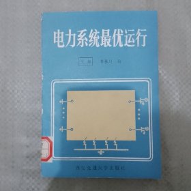 电力系统最优运行