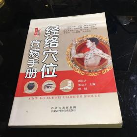 经络穴位疗病手册