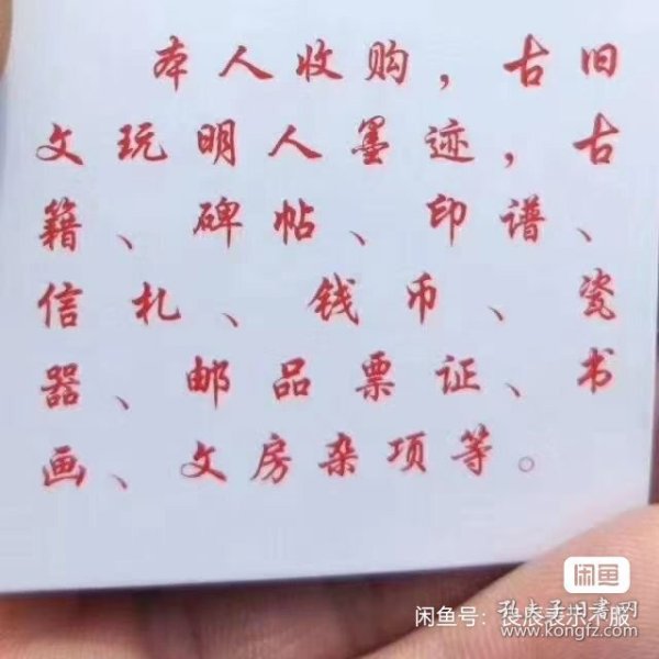 能闻出孩子味儿的乌龟