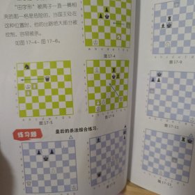 国际象棋教程 . 2