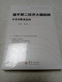 填平第二经济大国陷阱：中美差距及走向