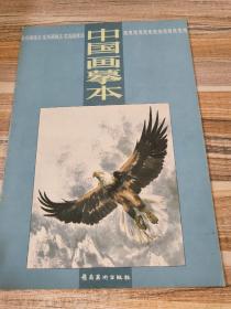 花鸟画技法10-中国画摹本-鹰