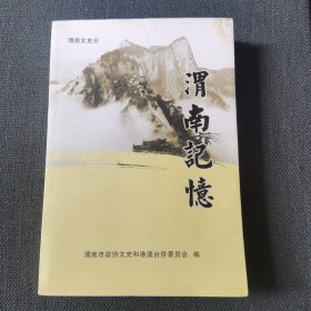 《渭南记忆》