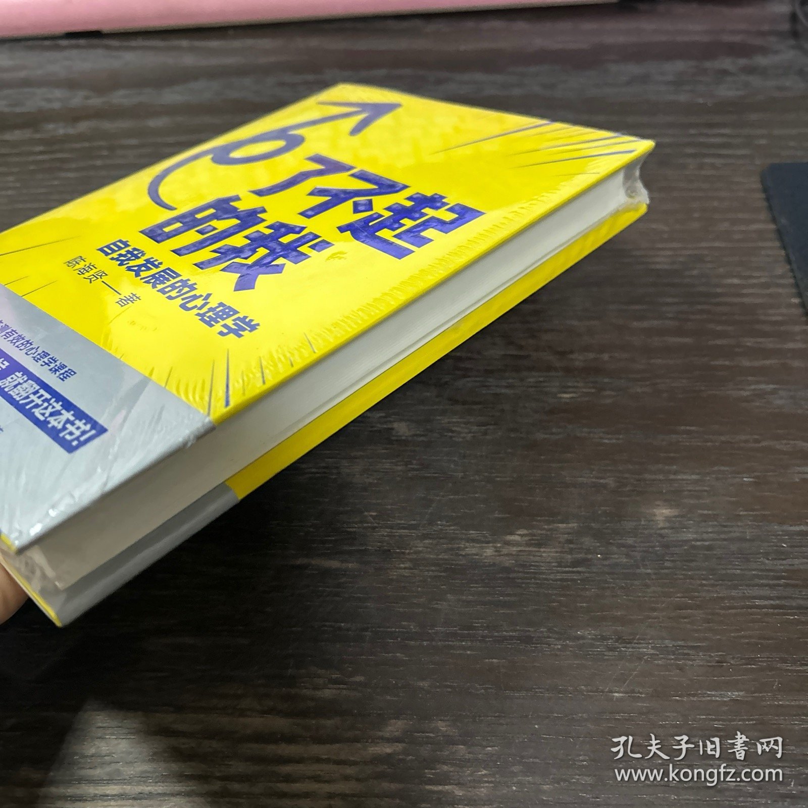 了不起的我：自我发展的心理学