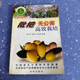枇杷无公害高效栽培/果品无公害生产技术丛书