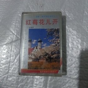 磁带 红莓花儿开