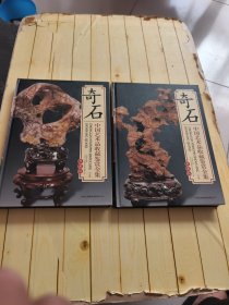 中国艺术品收藏鉴赏全集：奇石(典藏版)上下