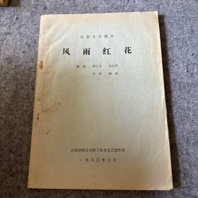 电影文学剧本 ：风雨红花（内页干净，无写划）