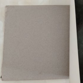 李金远画集