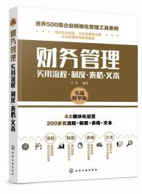 世界500强企业精细化管理工具系列--财务管理实用流程·制度·表格·文本