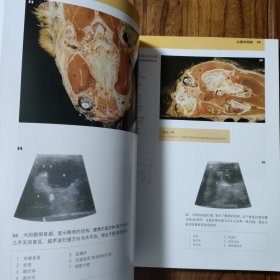 犬猫临床解剖彩色图谱.