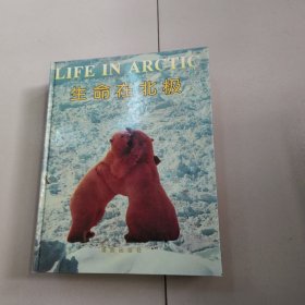 神奇的北极；未来与北极、鸟瞰北极、走向北极、生命在北极、生活在北极（16开 精装 图文本）5本合售