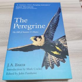 The Peregrine