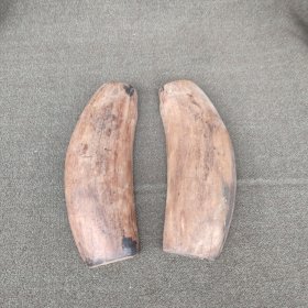 晚清民国左木卜卦板一对