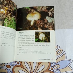 中国野生大型真菌彩色图鉴1
