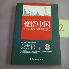 觉悟中国：当今社会问题的深层思考。。。。。