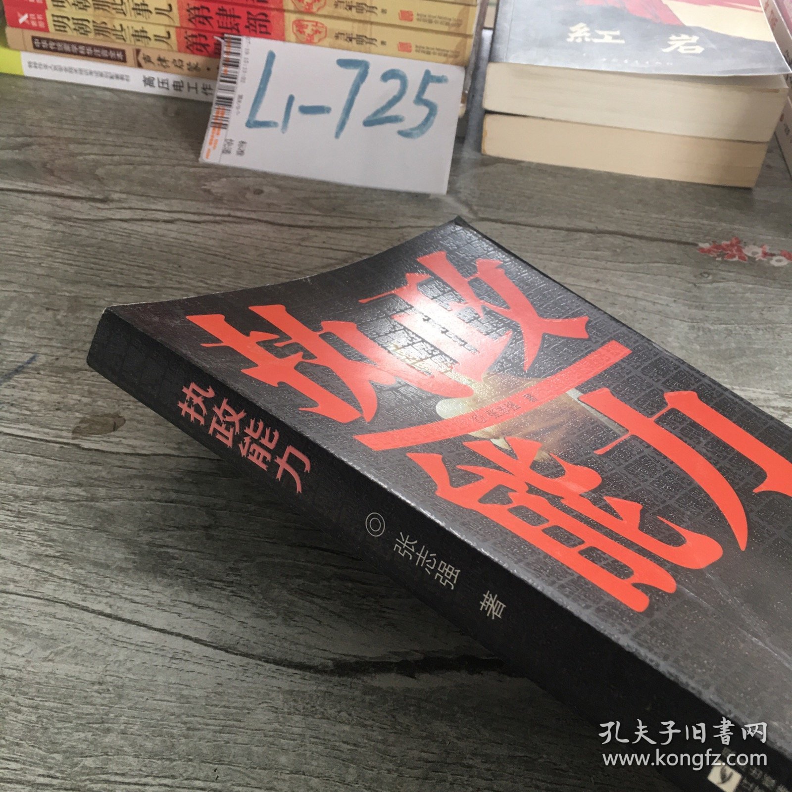 执政能力