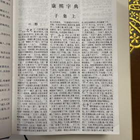 康熙字典（标点整理本） 上海辞书出版社版