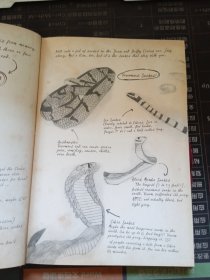 THE LOST JOURNAL OF INDIANAJONES