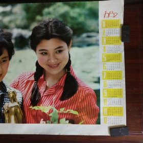 1982年年画张瑜与陈冲合影