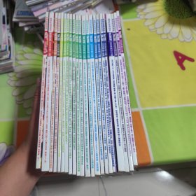 游戏机实用技术2009年全24期合售 第15、16、21、22、23、24期6本不带光盘，其余16本都带光盘