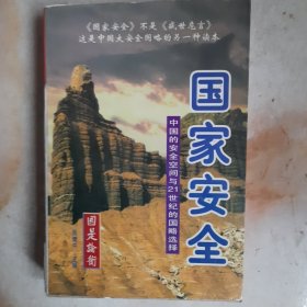 国家安全:中国的安全空间与21世纪的国略选择上册