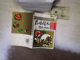 药用植物野外识别图鉴