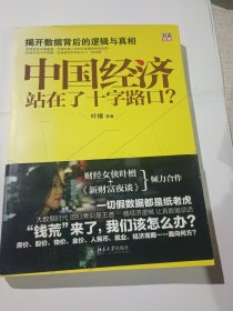 中国经济站在了十字路口：揭开数据背后的逻辑与真相