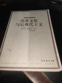 消费文化与后现代主义