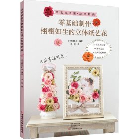零基础制作栩栩如生的立体纸艺花 9787572513084