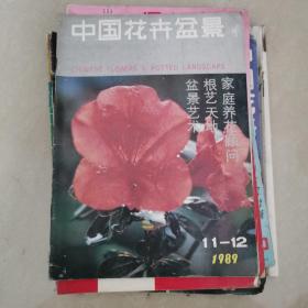 中国花卉盆景，1989年11-12月
