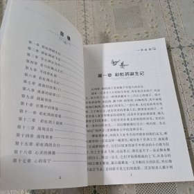 纽伯瑞儿童文学奖获奖作品 彩虹鸽
