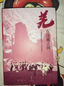 羌在汉藏之间：川西羌族的历史人类学研究（《华夏边缘》作者王明珂经典力作，川西羌族全解）