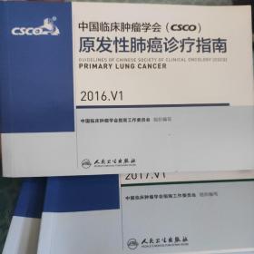 中国临床肿瘤学会（CSCO）原发性肺癌诊疗指南（2016.V1）