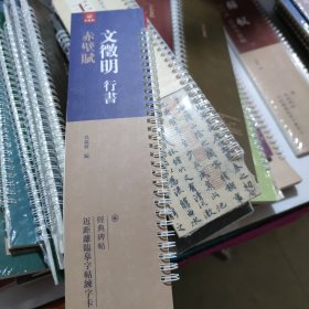 近距离临摹字帖，练习卡，经典碑帖文徵明行草赤壁赋，