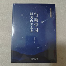 行动学习洞见内生之光 明天教育文化系列丛书