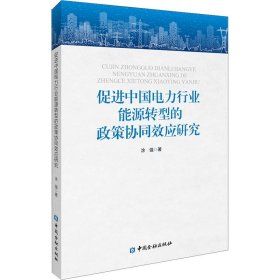 促进中国电力行业能源转型的政策协同效应研究