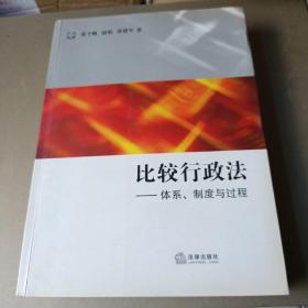 比较行政法：体系、制度与过程