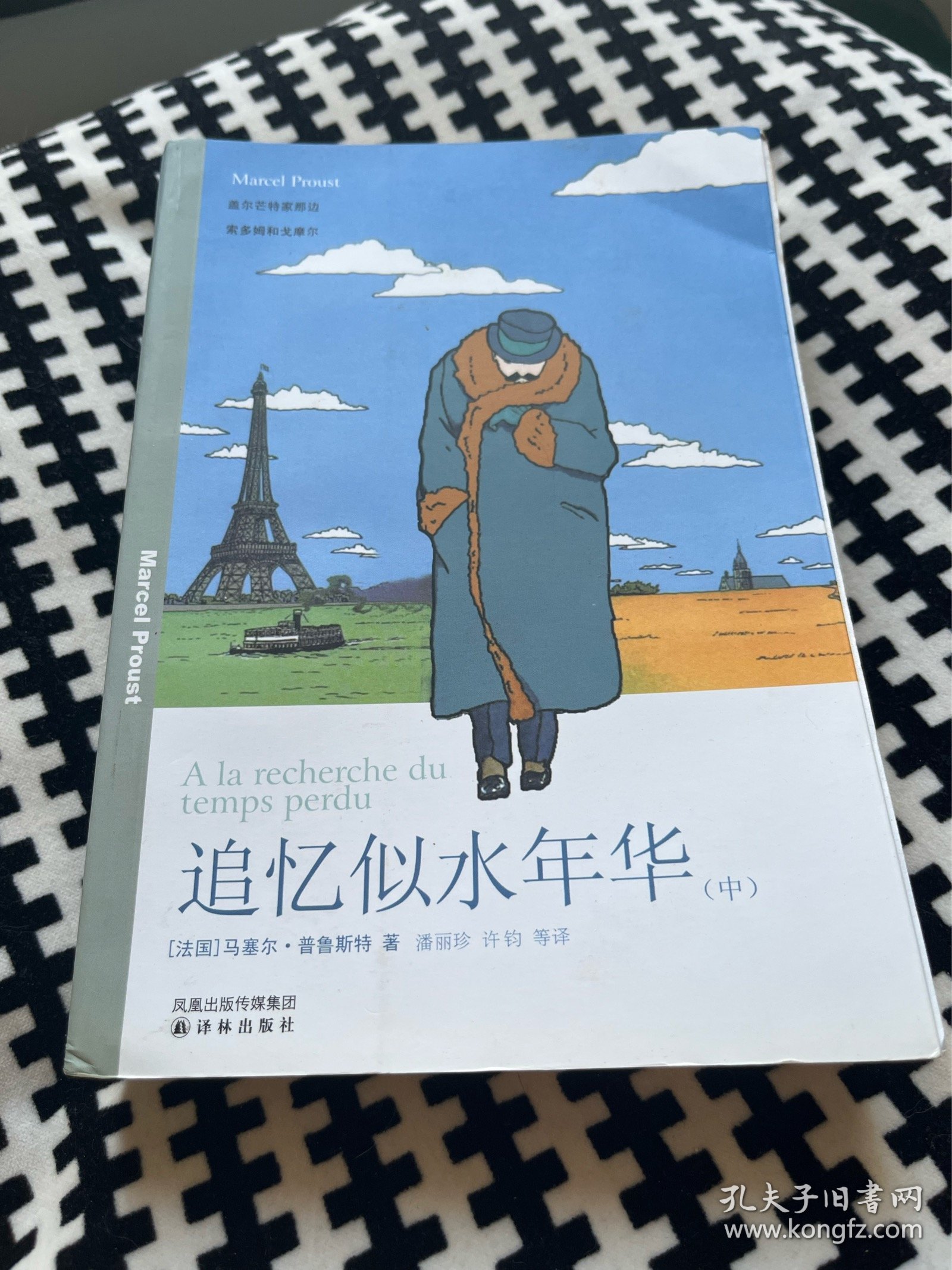 追忆似水年华 中卷