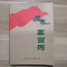 聚焦高西沟