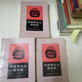 马克思主义哲学史上中下