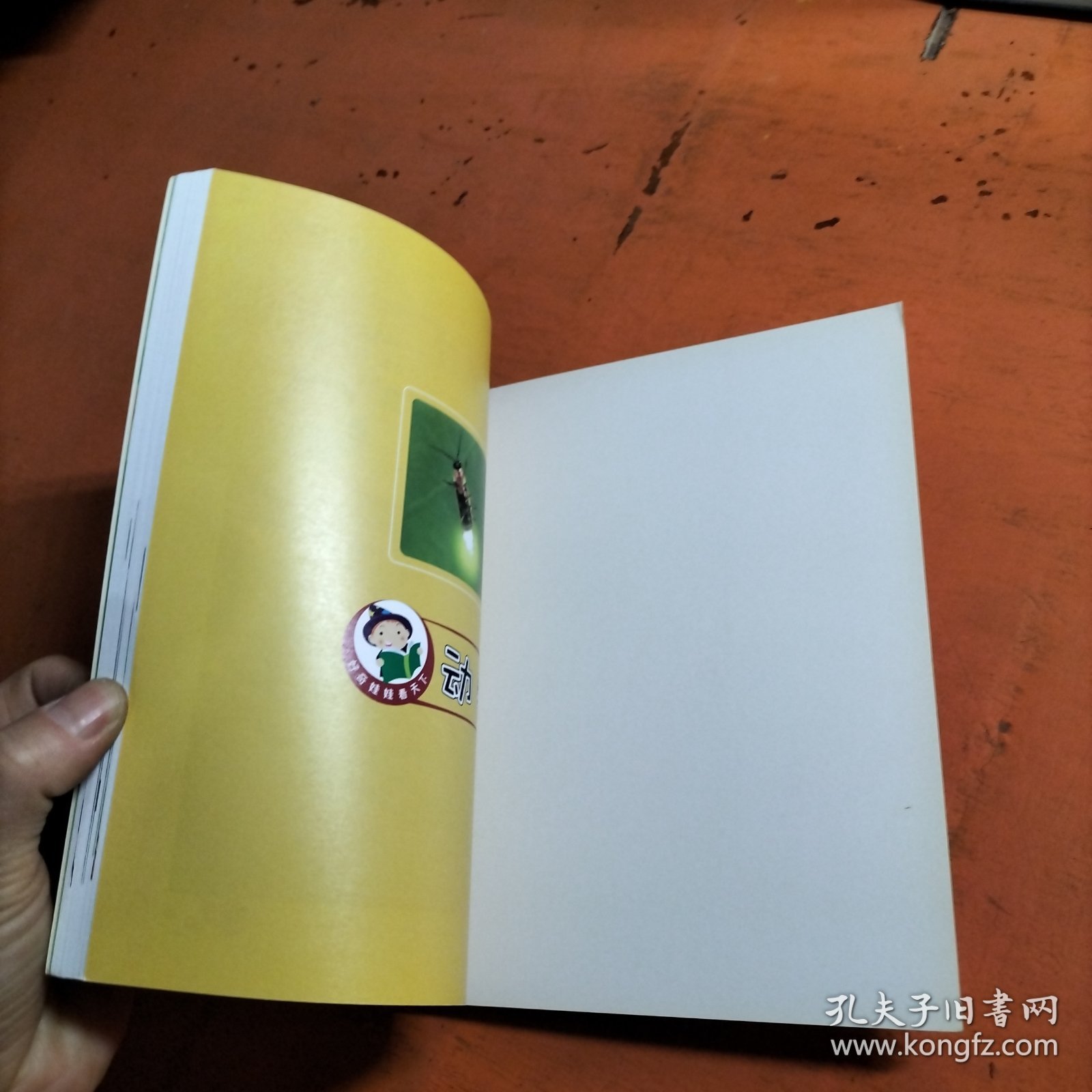 好奇娃娃看天下动物