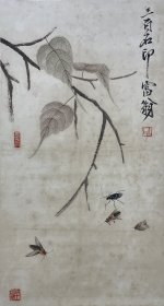 立轴 贝叶草虫