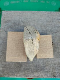 叶林心，男，1966年10月出生，福建闽侯人，师从韩天衡先生 。福建省人民政府授予“福建省工艺美术大师”，中国民协寿山石专业委员会授予“中国寿山石雕刻名家”。 现任福建商学院艺术设计学院院长、教授 ，福建省书法家协会第五届副主席