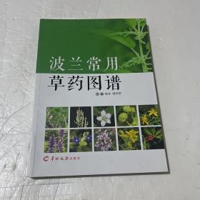波兰常用：草药图谱