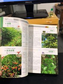 观花植物1000种经典图鉴（超值白金版）