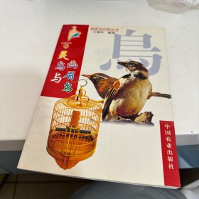 百灵鸟与画眉鸟