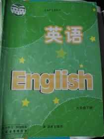 英语 九年级下册